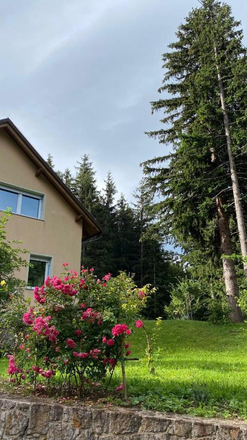 Apartmaji Velikonja Ajdovščina Buitenkant foto