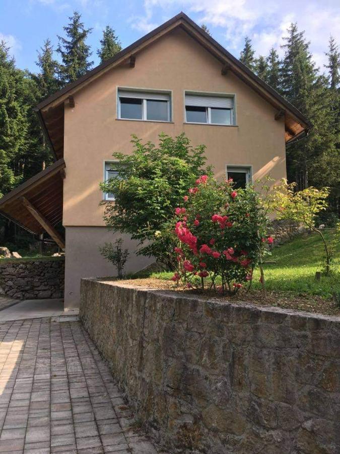Apartmaji Velikonja Ajdovščina Buitenkant foto