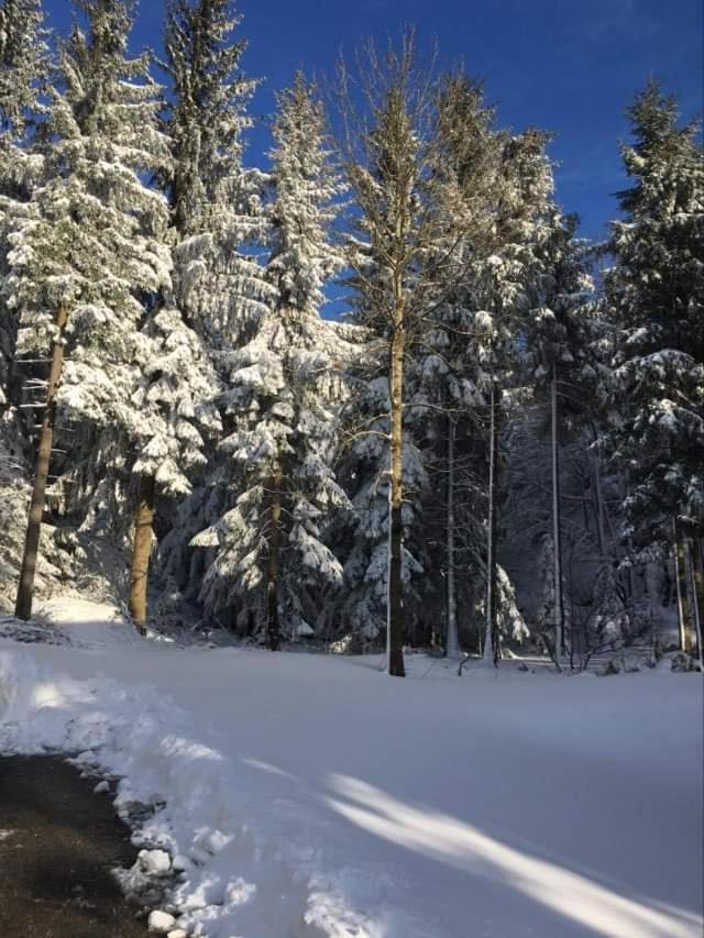 Apartmaji Velikonja Ajdovščina Buitenkant foto