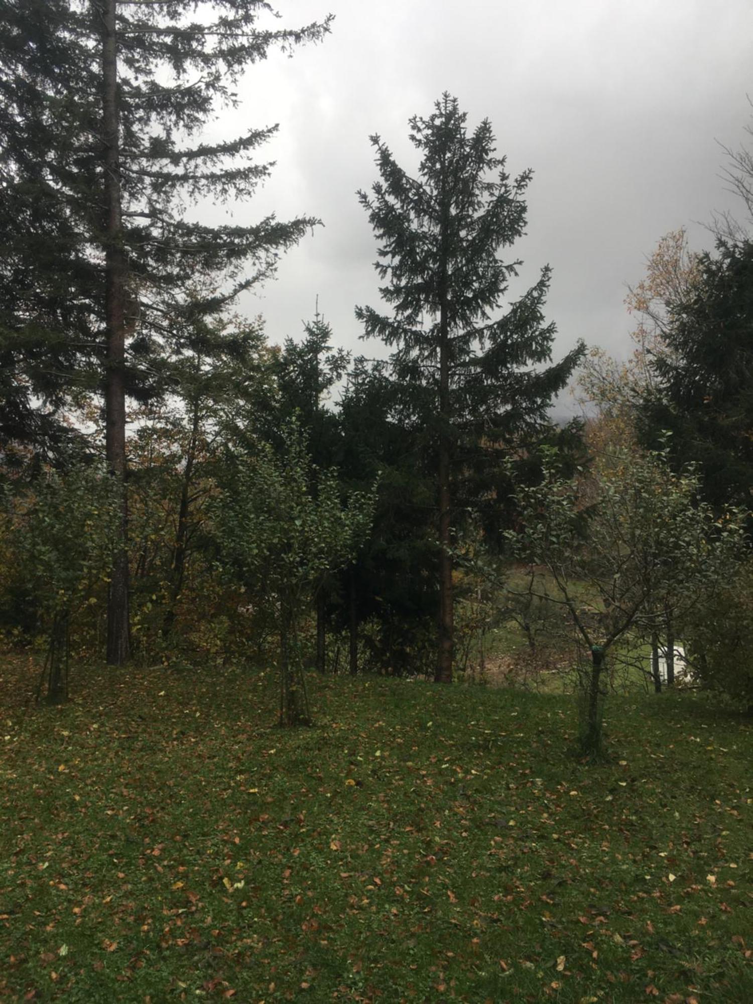 Apartmaji Velikonja Ajdovščina Buitenkant foto