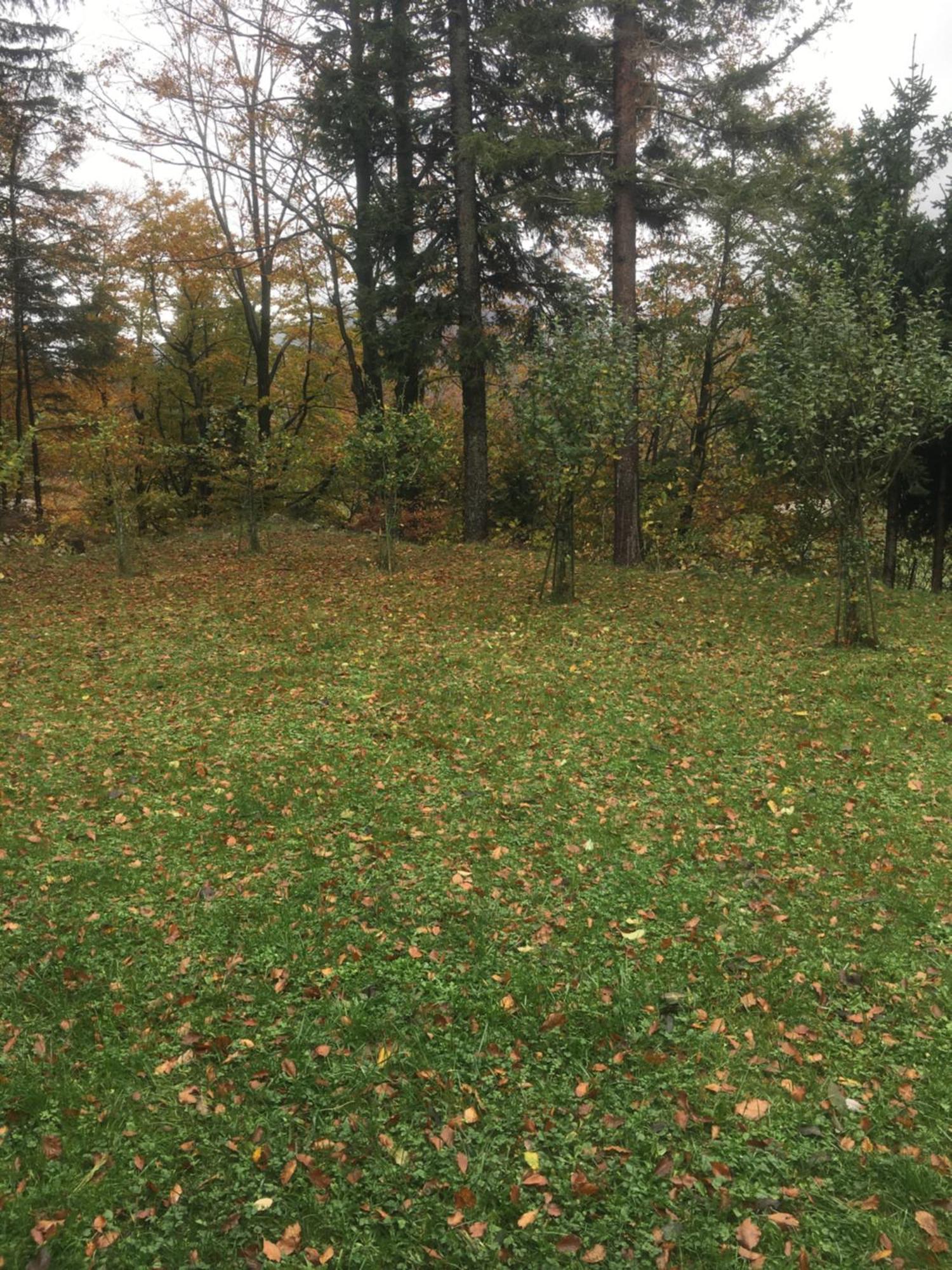 Apartmaji Velikonja Ajdovščina Buitenkant foto