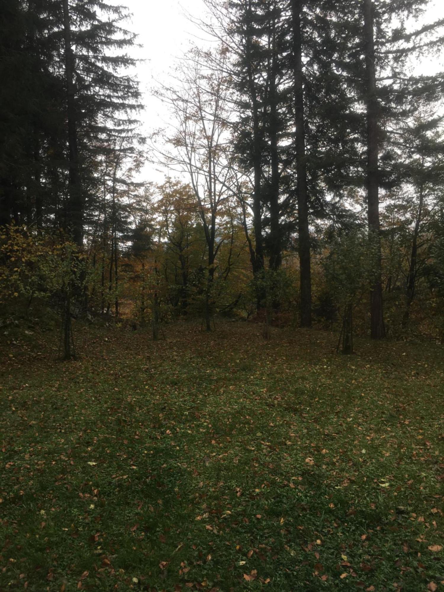 Apartmaji Velikonja Ajdovščina Buitenkant foto